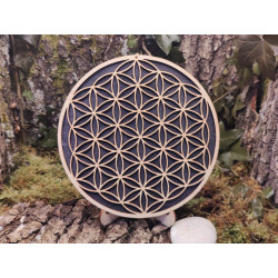 Fleur de vie 20 cm